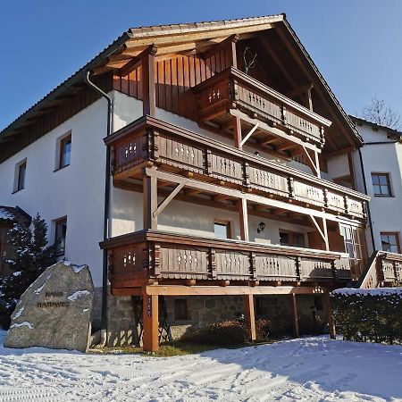 Haus Haidweg - Ferienwohnungen In Haidmuehle Im Dreilaendereck De-Cz-At 외부 사진