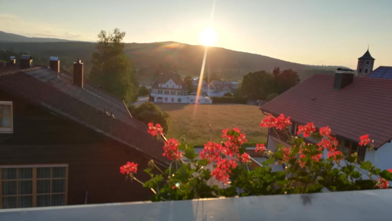 Haus Haidweg - Ferienwohnungen In Haidmuehle Im Dreilaendereck De-Cz-At 외부 사진