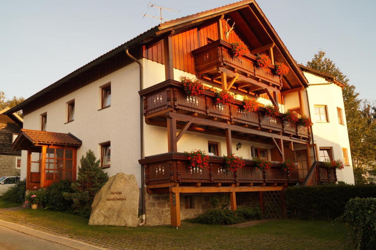 Haus Haidweg - Ferienwohnungen In Haidmuehle Im Dreilaendereck De-Cz-At 외부 사진